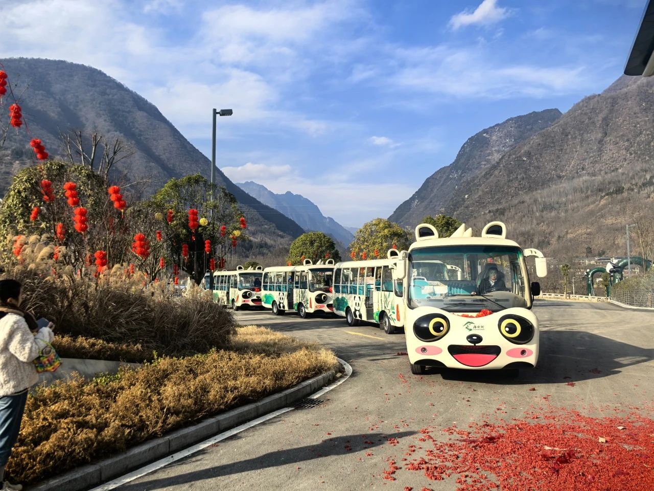 2025年景区交通该往哪儿发力？永盈会观光车助力打造景区交通运营新“范式”